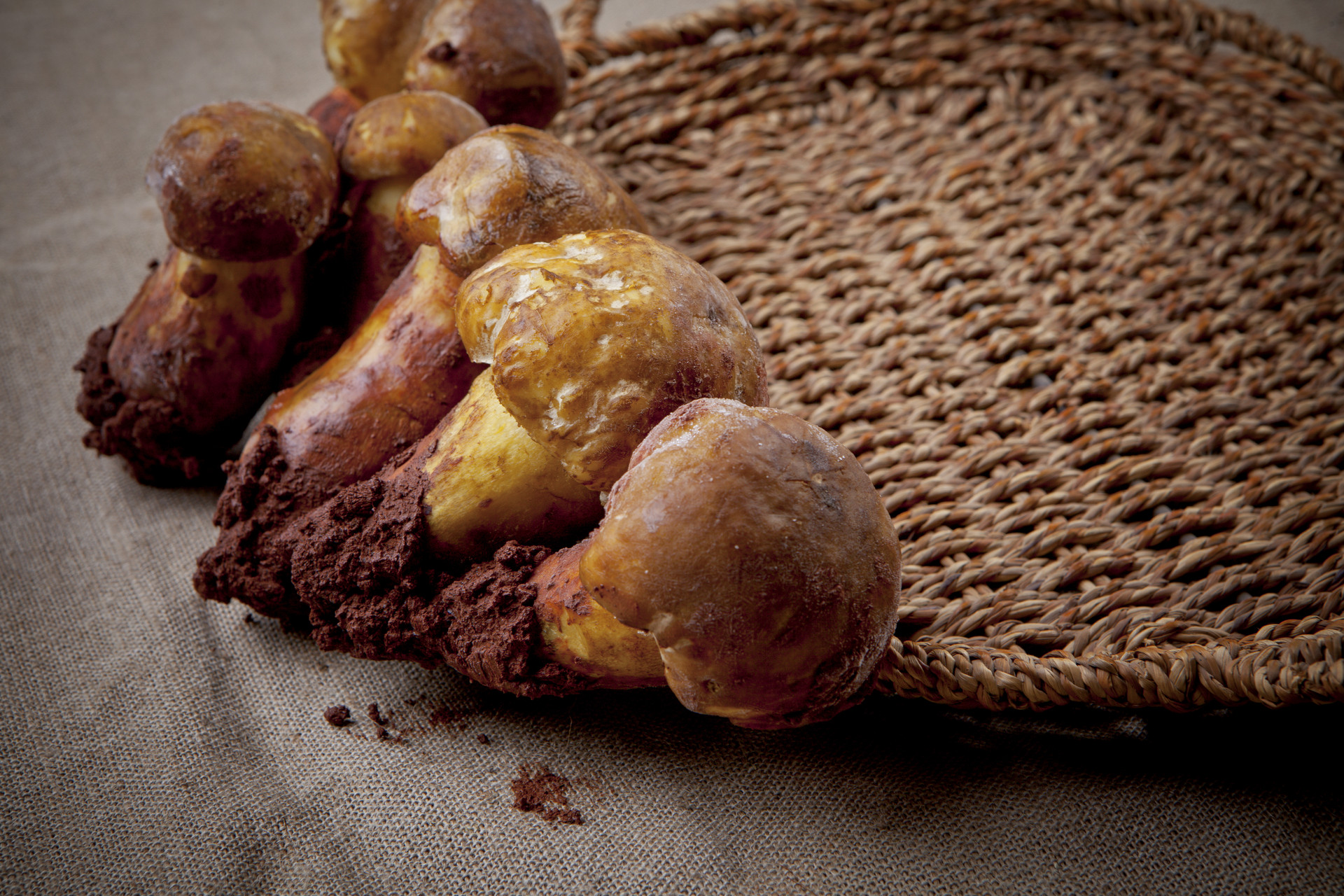 1667785664233496.jpg 攝圖網(wǎng)_500481851_banner_野生菌松茸(企業(yè)商用).jpg